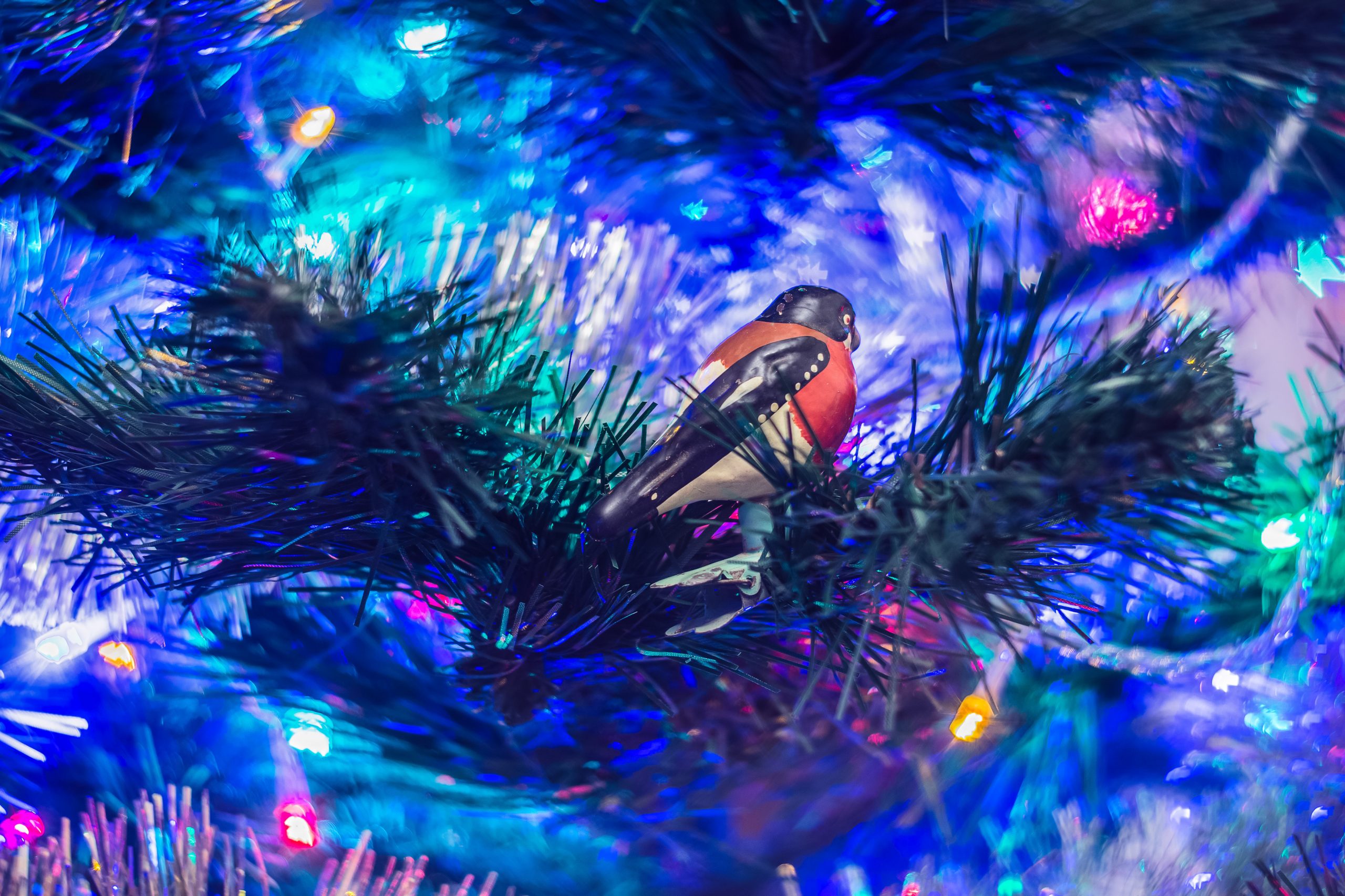 Crăciunul de altă dată într-o expoziție. Cui trimitea Prințul Ghica felicitări de sărbători