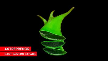 „Pe perioda pandemiei chiar devenise o povară”. Ce așteptări au antreprenorii de la noul Guvern