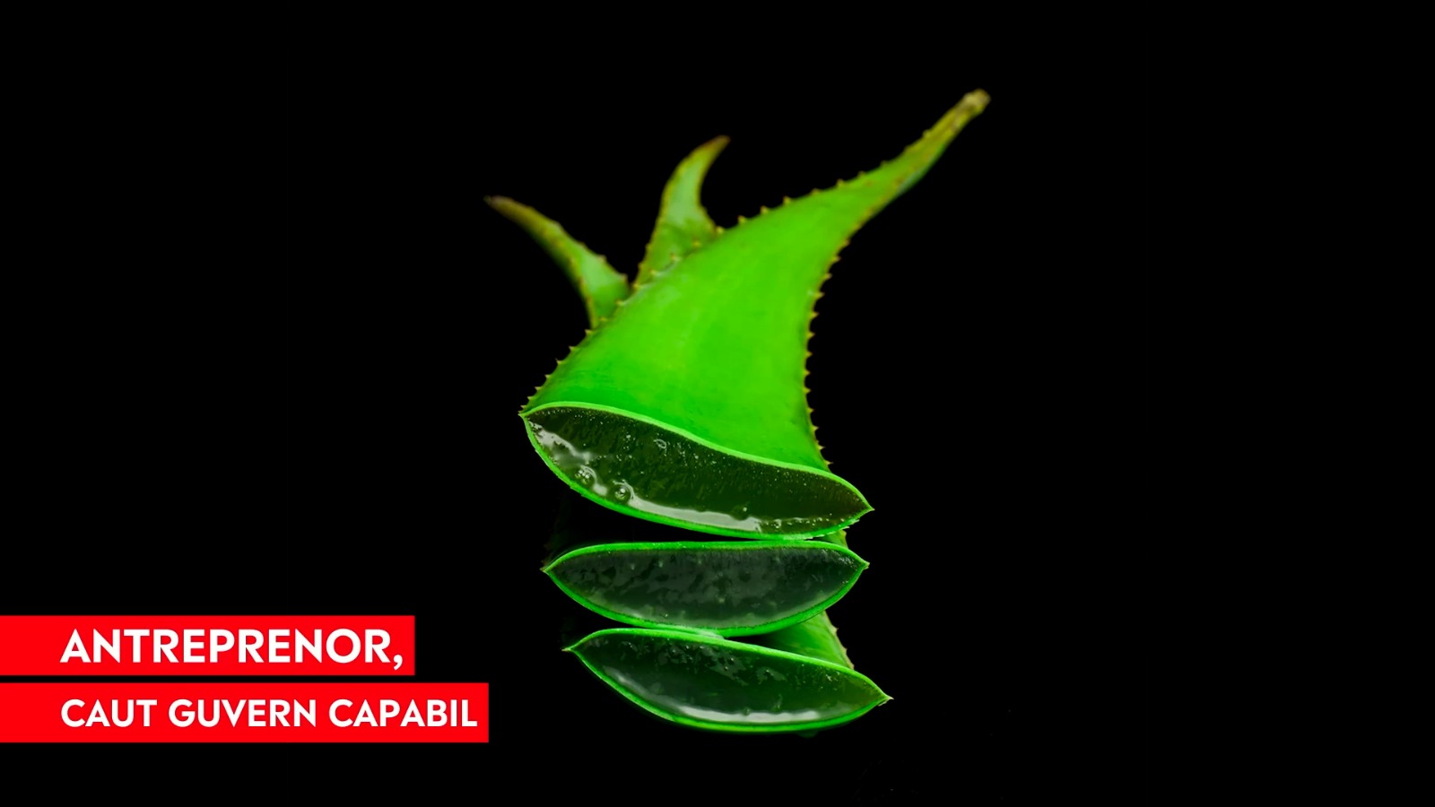 „Pe perioda pandemiei chiar devenise o povară”. Ce așteptări au antreprenorii de la noul Guvern