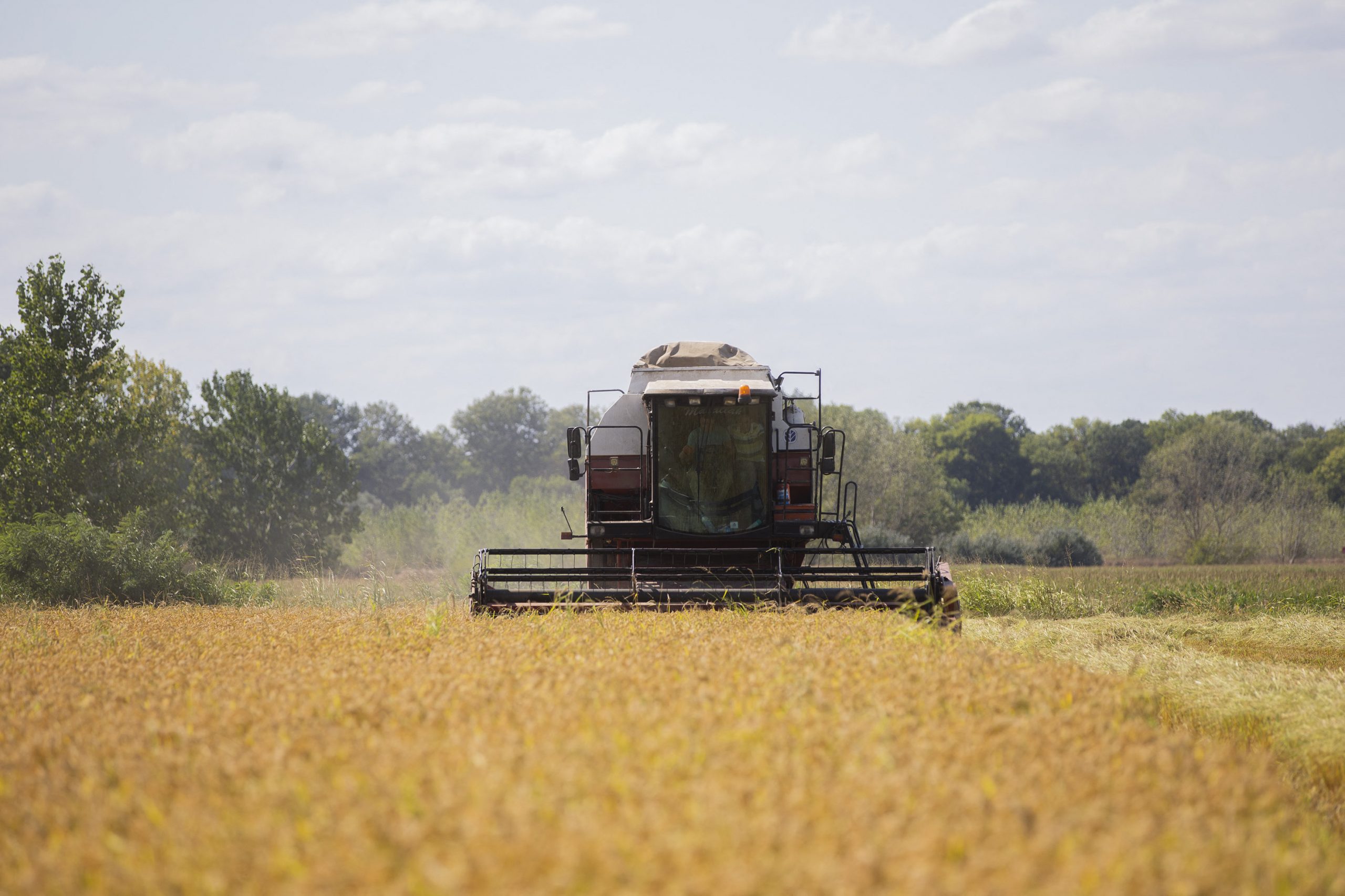 Soldul creditelor pentru agricultură a depășit 21 de miliarde de lei. A atins cel mai mare nivel al ultimilor cinci ani