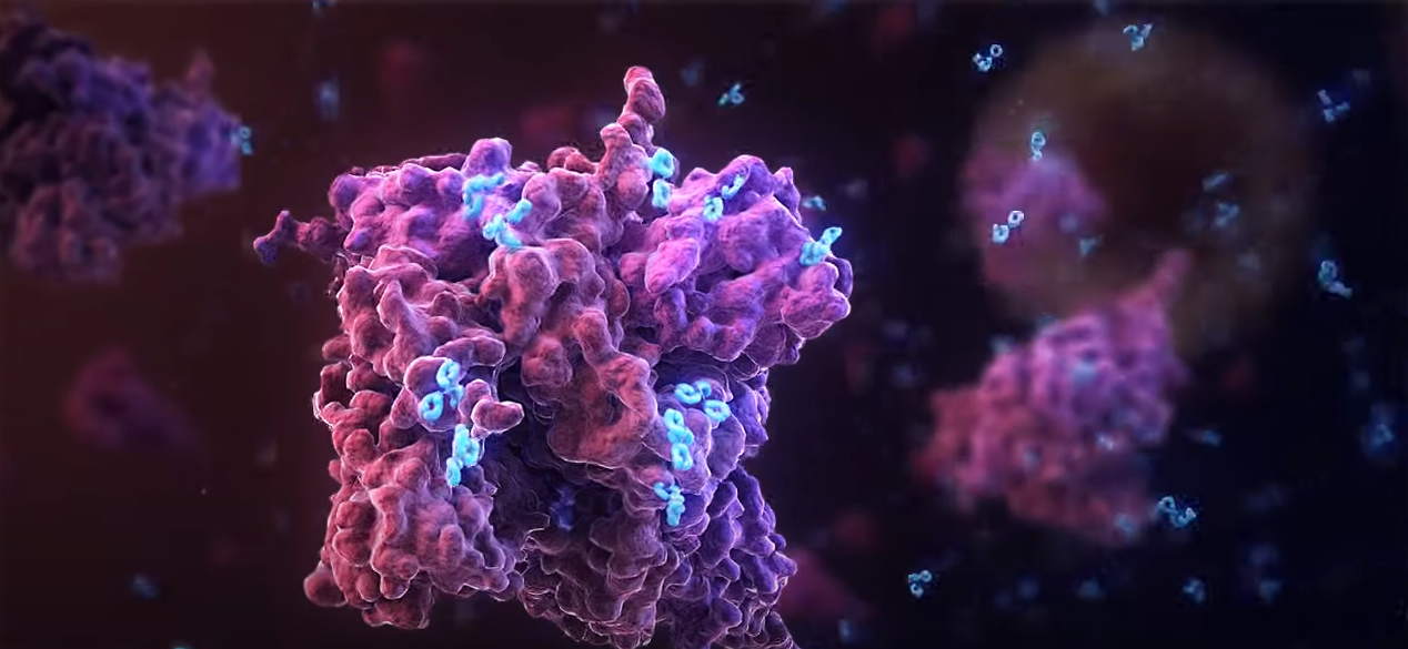 Ce se întâmplă în organism după ce primește vaccinul