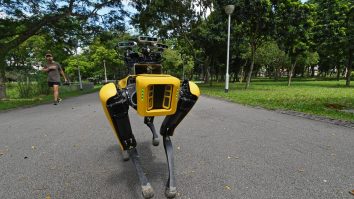 Laboratorul care a creat câinele-robot Spot va fi cumpărat de Hyundai