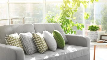 Impozit redus pentru „casele verzi”. Proiectul aflat în Parlament