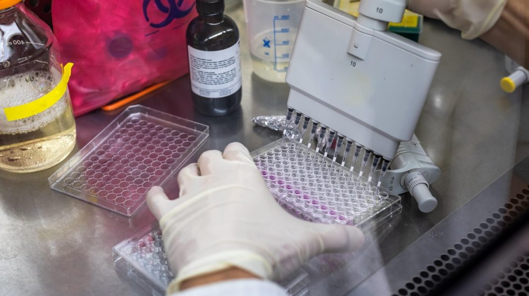 Exhipa de la Oxford, care a dezvoltat vaccinul anti-COVID, începe testele pentru vaccinul împotriva malariei. Când ar putea fi lansat