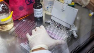 Exhipa de la Oxford, care a dezvoltat vaccinul anti-COVID, începe testele pentru vaccinul împotriva malariei. Când ar putea fi lansat