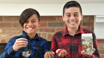 Cum au făcut doi copii de 12 ani 250.000 de dolari în pandemie, în SUA