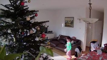 cutremur-croatia-brad