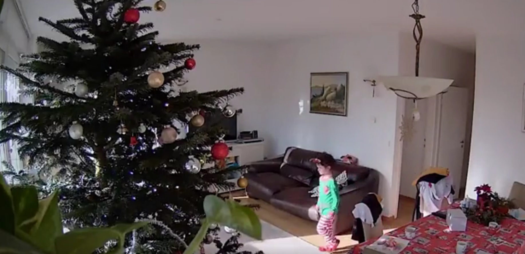 Imagini dintr-un apartament din Croația în momentul în care a început cutremurul: O fetiță țipă îngrozită, bradul se prăbușește