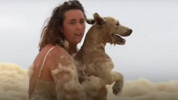 VIDEO. Un cățel, dat dispărut de stăpâni, a fost găsit într-o spumă densă, în mare