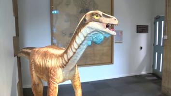 Cercetătorii britanici au reconstruit creierul unui dinozaur care a trăit acum 205 milioane de ani