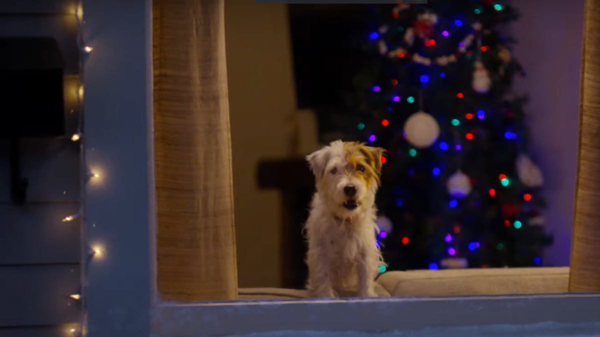 „De Sărbători, găseşte-ţi bucuria”. Reclama devenită virală în mediul online