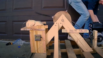 Găină gătită cu… palme. Un youtuber a inventat un aparat de dat palme și a încercat să îi crească  temperatura