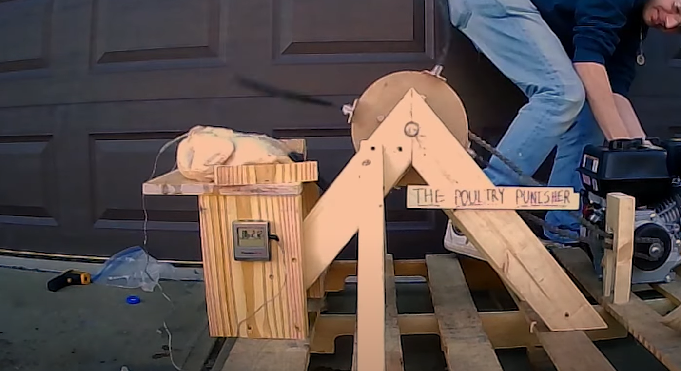 Găină gătită cu… palme. Un youtuber a inventat un aparat de dat palme și a încercat să îi crească  temperatura