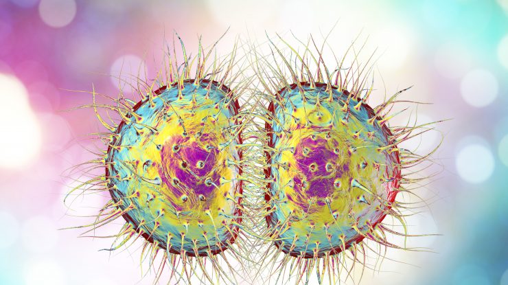 O boală cu transmitere sexuală ar putea deveni „netratabilă” din cauza unui tratament din timpul pandemiei