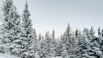 Mașinile electrice accelerează pe piața din România în timp de pandemie. Cu cât au crescut vânzările