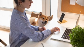 Pandemia a determinat companiile să facă schimb de angajați. Noi tipuri de joburi au apărut în ultimele luni