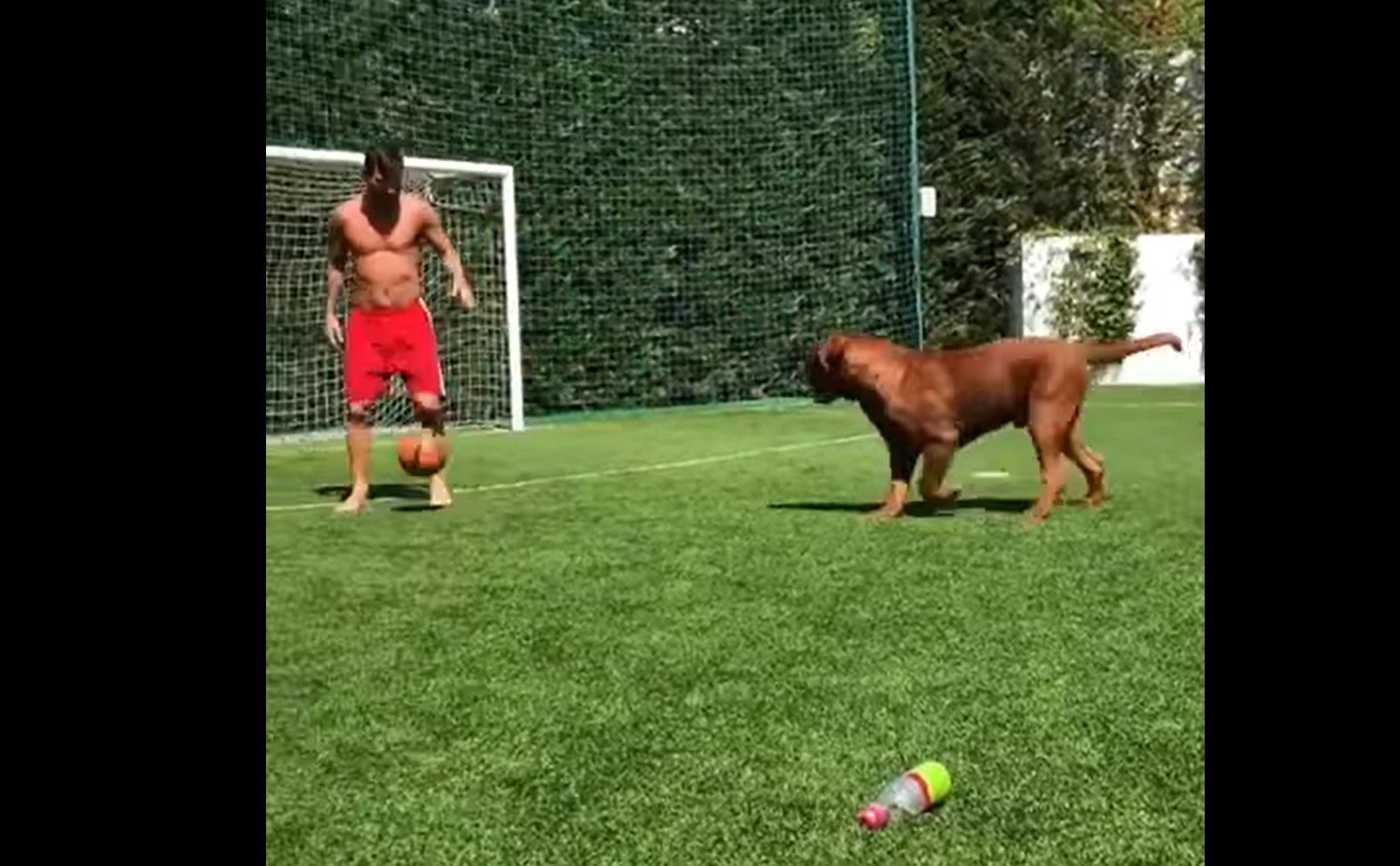 Viața alături de cel mai bun prieten al omului. Messi și-a driblat câinele într-un video devenit viral