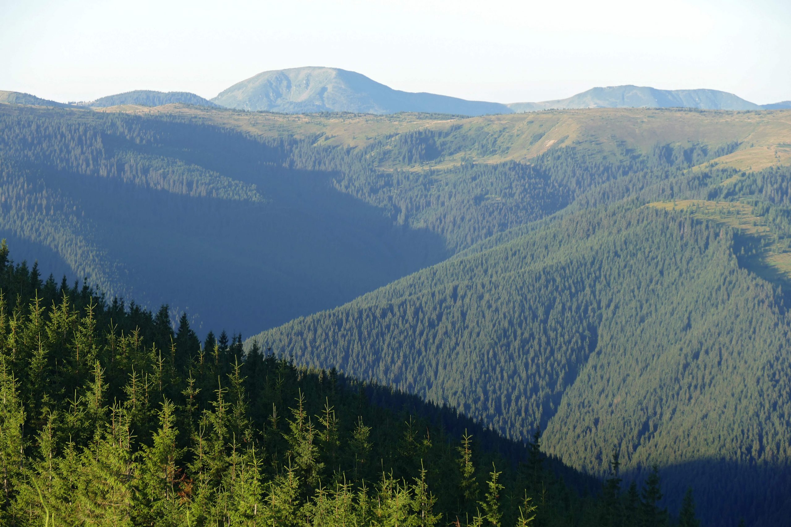 Valul trei al pandemiei nu îi sperie pe călători. Consultant turism: „Le recomand să își facă asigurări”