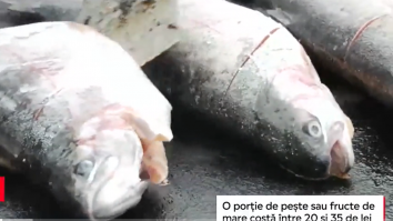 Orașul în care se stă la coadă la pește și fructe de mare. „Cel mai bun porc e peștele”