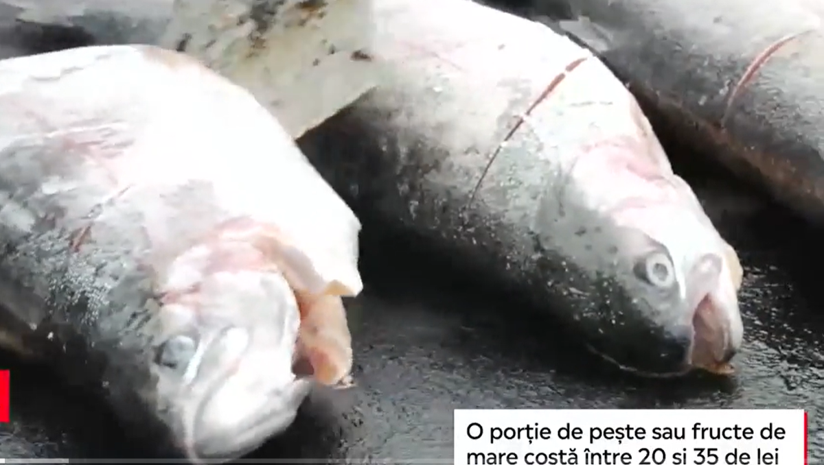 Orașul în care se stă la coadă la pește și fructe de mare. „Cel mai bun porc e peștele”