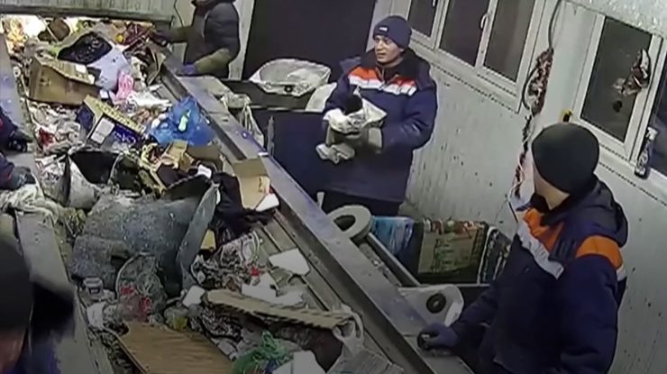 Destinul unei pisici, schimbat într-o secundă. Cum a ajuns de pe o bandă de sortare a deșeurilor pe un fotoliu de ministru