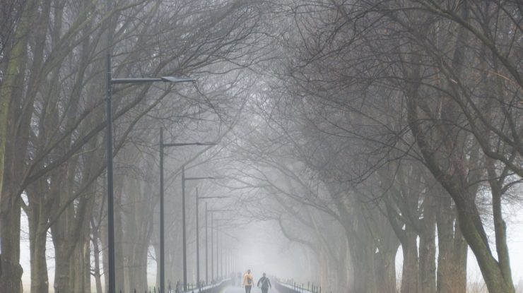 METEO, 19 decembrie. Vântul va sufla slab și moderat. Temperaturi maxime, între 2 și 9 grade Celsius
