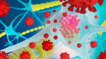 Parosmia, printre simptomele de lungă durată ale Covid-19. Cum se manifestă și cum se poate trata