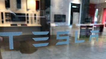 Șerpii care hibernează complică planurile lui Elon Musk de extindere în Europa