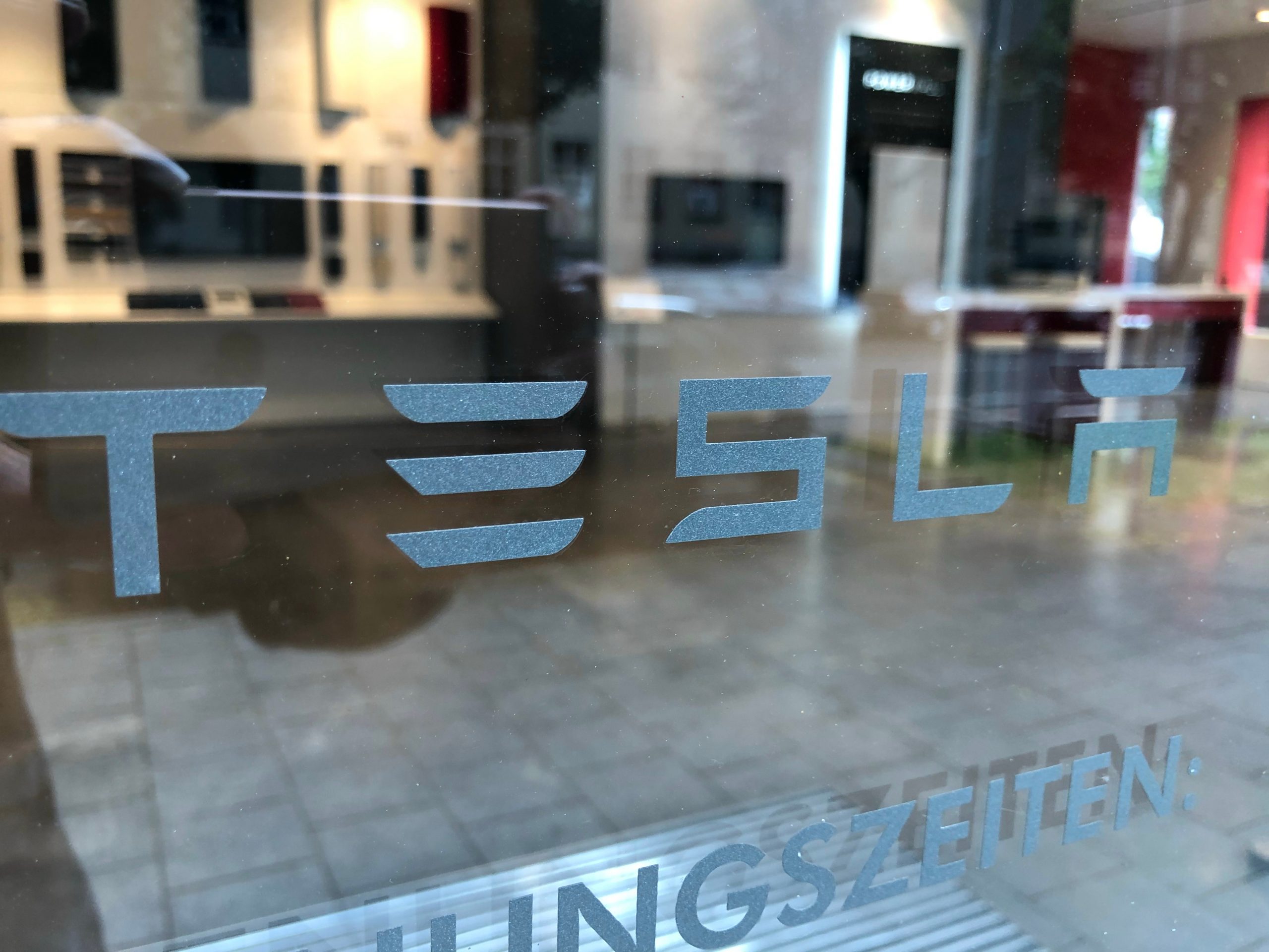 Șerpii care hibernează complică planurile lui Elon Musk de extindere în Europa