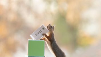 Tot ce trebuie să știi despre alegerile parlamentare de duminică. Cum arată buletinele de vot