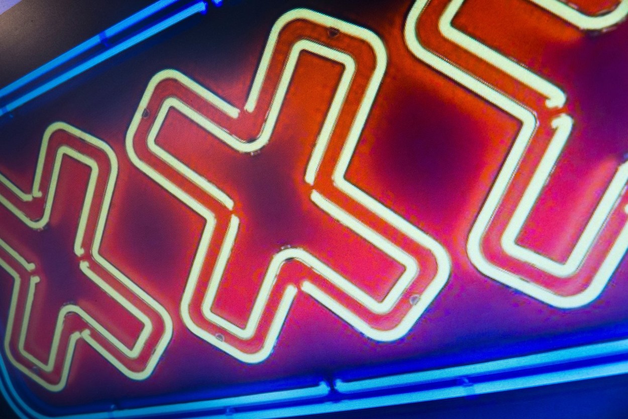 Un bărbat de 42 de ani poate cere legal despăgubiri părinților pentru că i-au distrus colecția de materiale pornografice