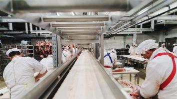 Românii din abatoarele germane, ținuți în condiții greu de imaginat. „Vin în ţară şi tot ce au câştigat dau la doctori”