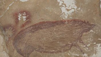 Cea mai veche pictură din lume cu un animal a fost descoperită în Indonezia