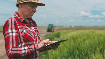 Tehnologii inovative în agricultură: Razele UV sunt folosite pentru culturile exterioare