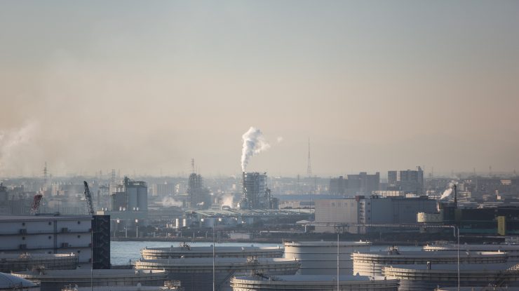 O nouă migrație în masă ar putea fi provocată de poluarea aerului. Ce spun specialiștii în ecologie