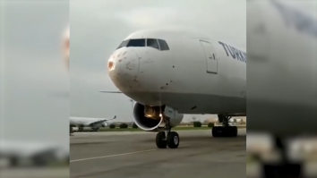Un avion a aterizat de urgenţă, după ce a lovit un stol de păsări. Daunele suferite