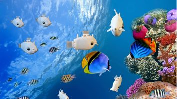 Un altfel de pește. Bluebot exploreză locuri ale oceanelor în care omul nu ajunge