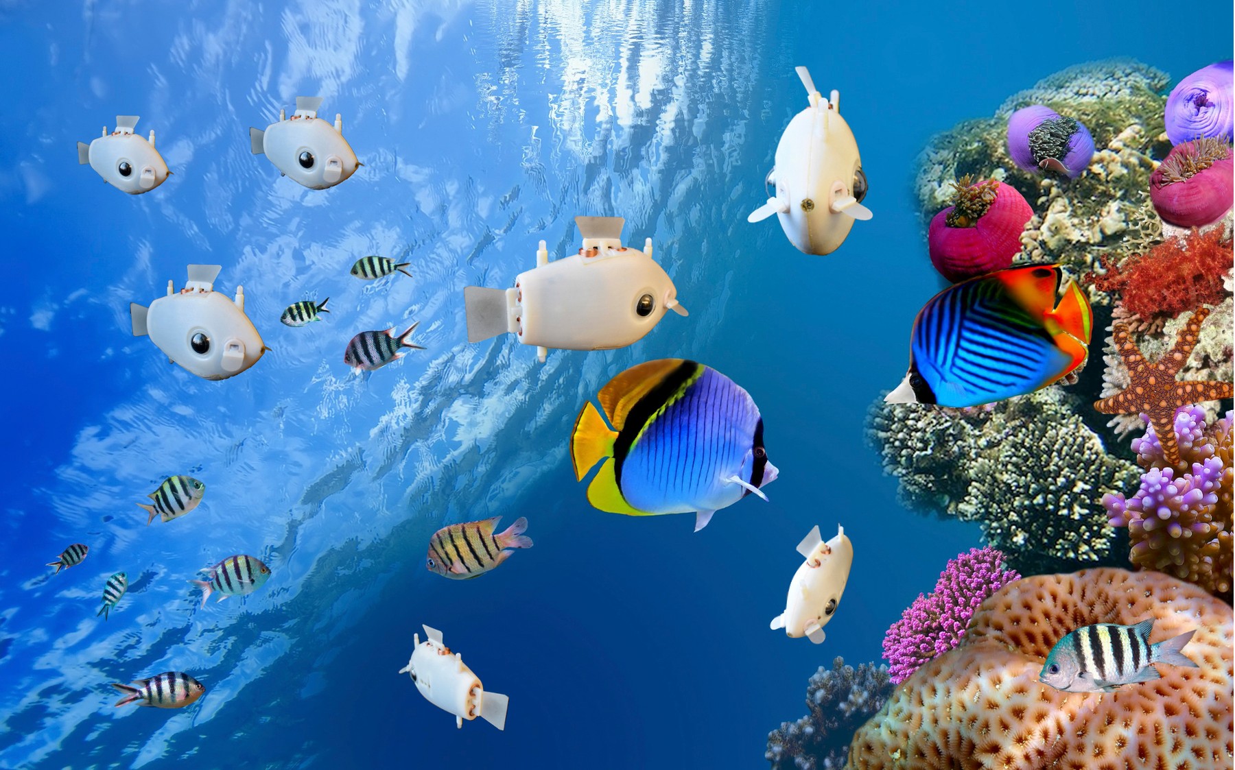 Un altfel de pește. Bluebot exploreză locuri ale oceanelor în care omul nu ajunge