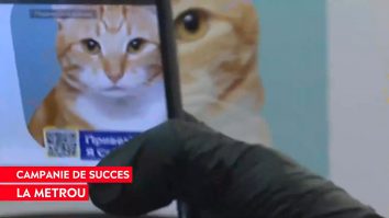 Metroul din Moscova, decorat cu pozele animalelor abandonate. Cum a reușit o rusoaică să facă adopția mult mai simplă