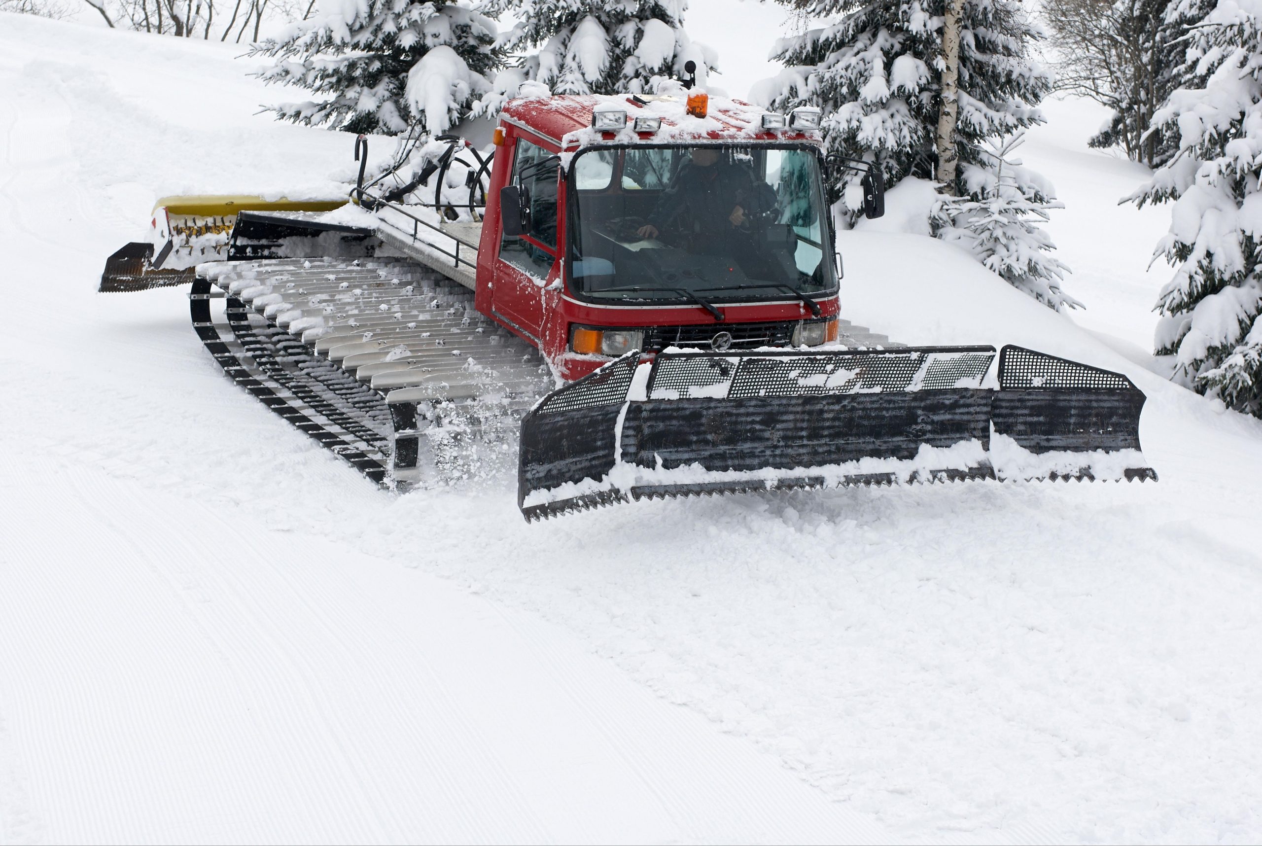 METEO. Cod GALBEN de ninsori și vânt puternic în 10 județe ale țării