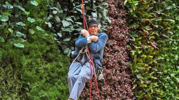 BBC lansează o aplicație pentru explorarea naturii. Ghidul va fi holograma unui celebru prezentator și naturalist britanic