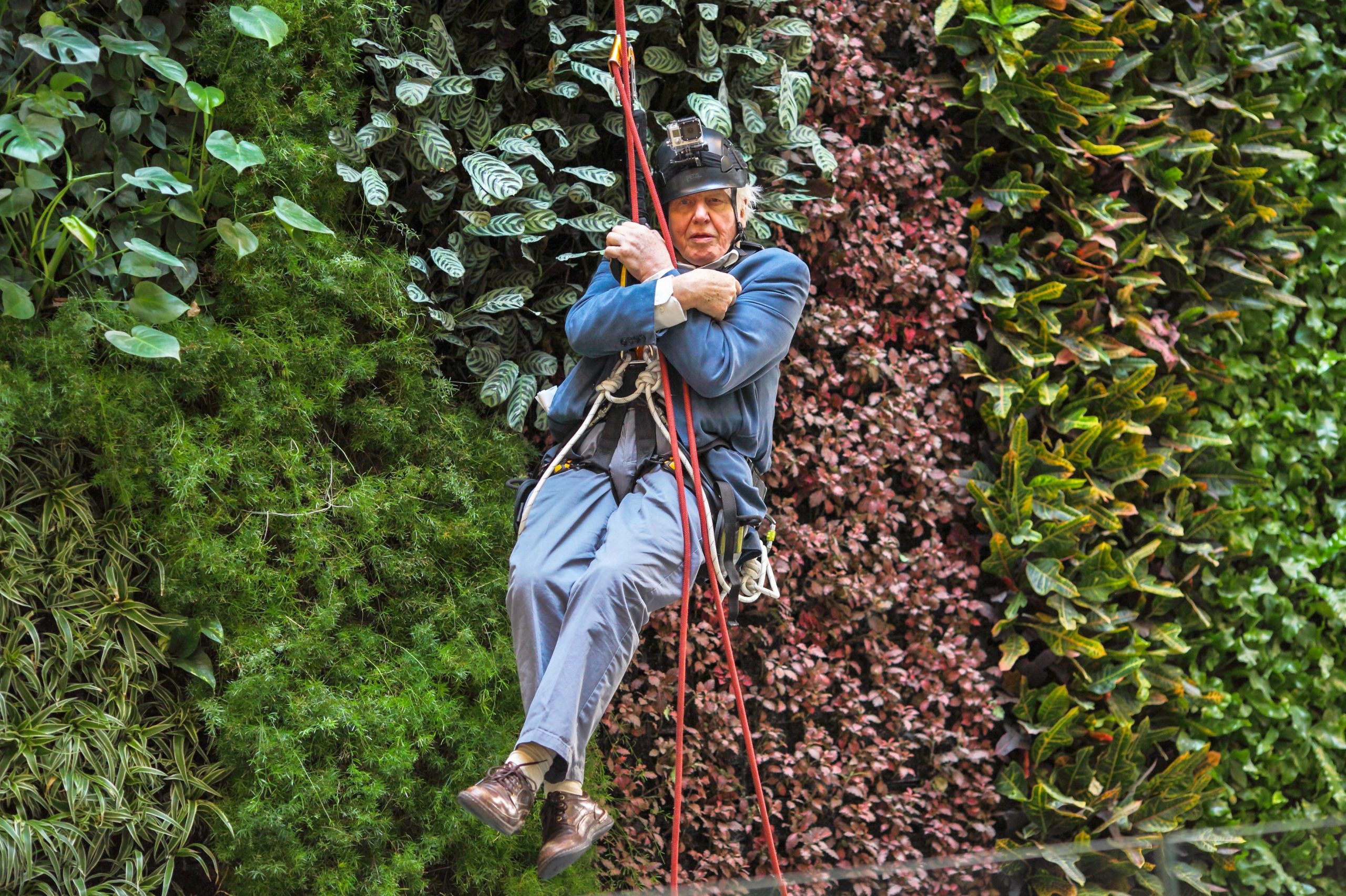 BBC lansează o aplicație pentru explorarea naturii. Ghidul va fi holograma unui celebru prezentator și naturalist britanic