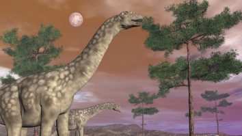 Dinozaurii au existat și în România. Unde a fost descoperit un sit arheologic