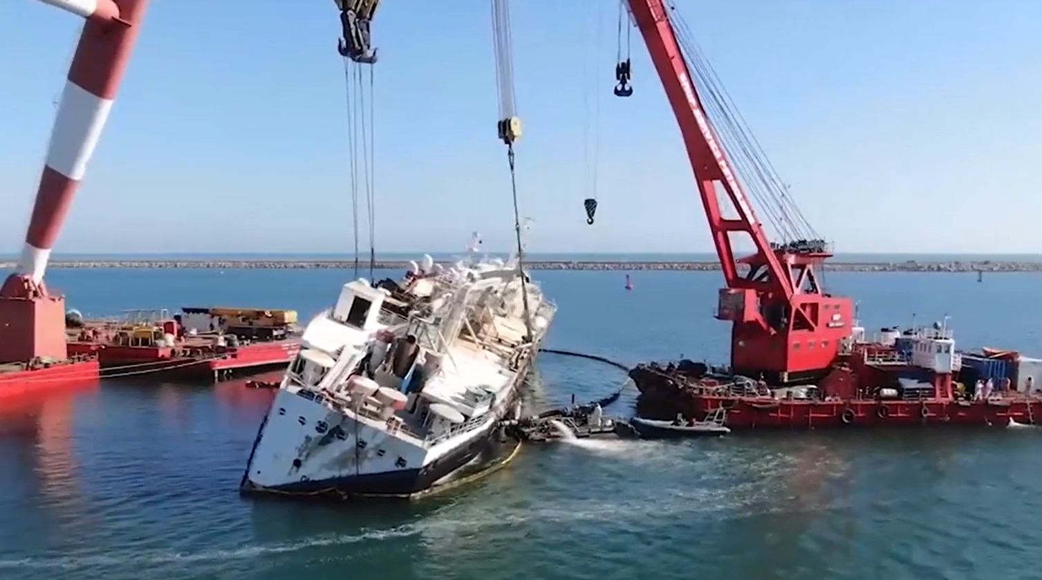 Miile de oi înecate după eşuarea navei Queen Hind, descoperite într-o groapă în judeţul Tulcea