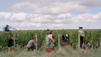 Forța de muncă între Est și Vest. Mulți estici au acceptat joburi sub calificările lor și în condiții proaste