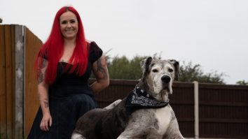 Cel mai înalt câine din lume a murit. Se uita de sus la Shaq și LeBron