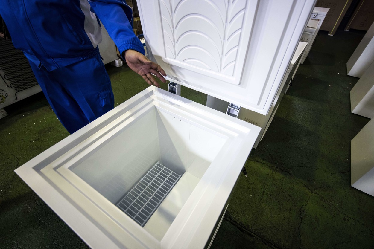 Descoperire macabră: O femeie a păstrat cadavrul mamei sale în congelator timp de 10 ani. Ce scuză a găsit