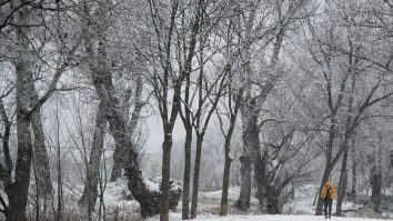 Avertisment meteo: COD galben de ninsori în zona de munte din 15 județe