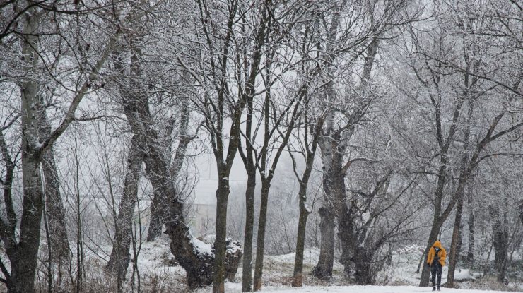 Avertisment meteo: COD galben de ninsori în zona de munte din 15 județe