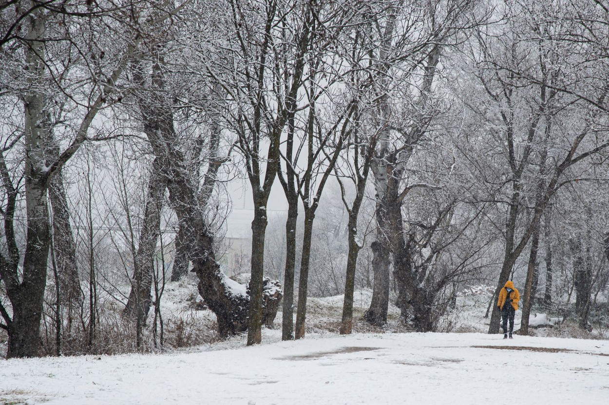 Avertisment meteo: COD galben de ninsori în zona de munte din 15 județe